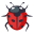 :lady_beetle: 🐞