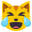 :cat_face_with_tears_of_joy: 😹