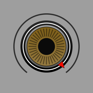MyKnobLaf_snapshot (9).png