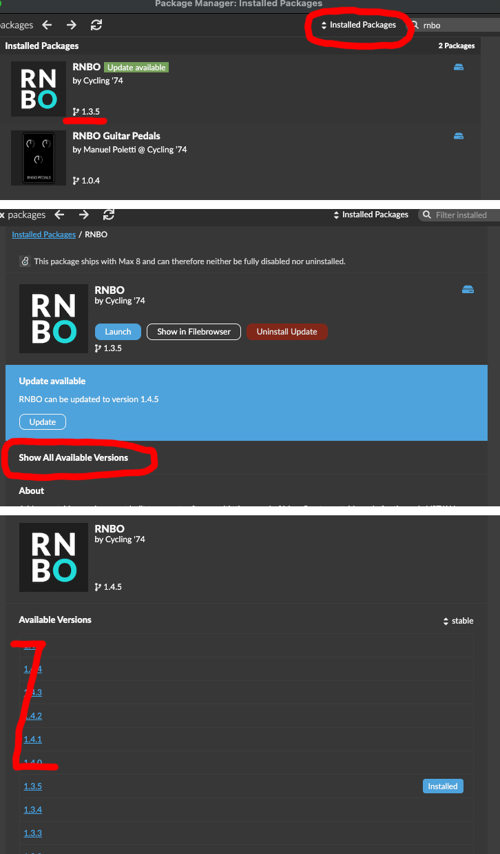 rnbo.png